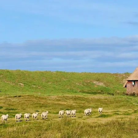 Charming In Sylt 35 M² Garden Apartamento *