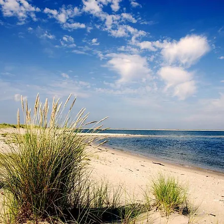 Apartament Charming In Sylt 35 M² Garden *