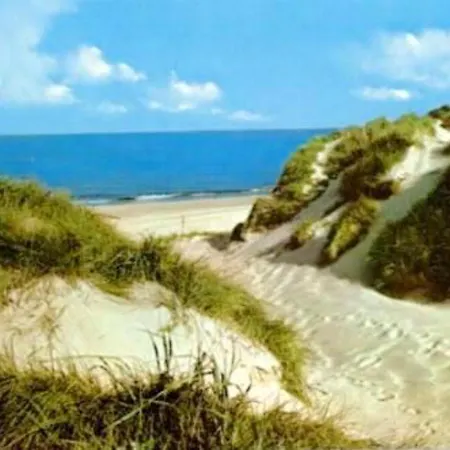 Charming In Westerland-sylt, 35 M², Garden 아파트 베스터란트