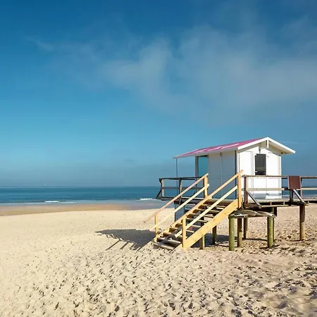 Charming In Westerland-sylt, 35 M², Garden Westerland