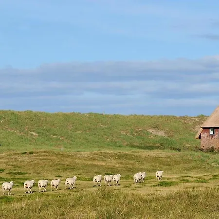 Lägenhet Charming In Westerland-sylt, 35 M², Garden *