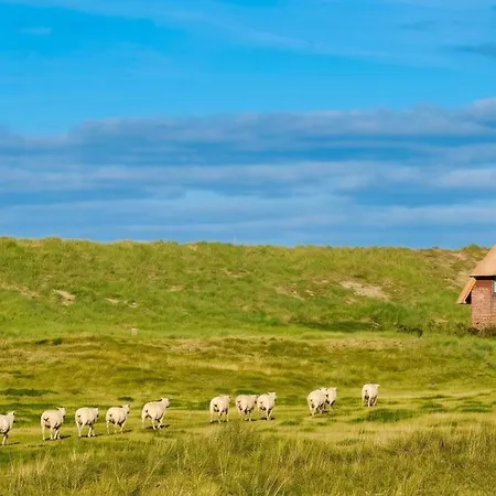 Lägenhet Charming In Westerland-sylt, 35 M², Garden